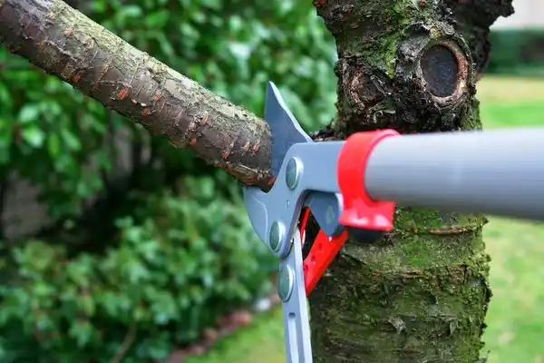 tree services Waverly